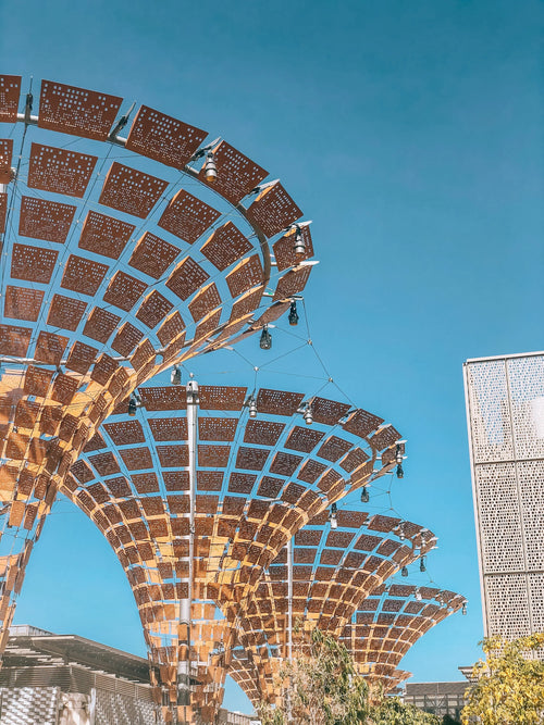 Your Complete Guide to Dubai's Expo 2020