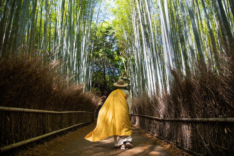 The How To Kyoto Travel Guide