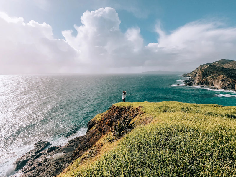 Stranded Abroad in New Zealand