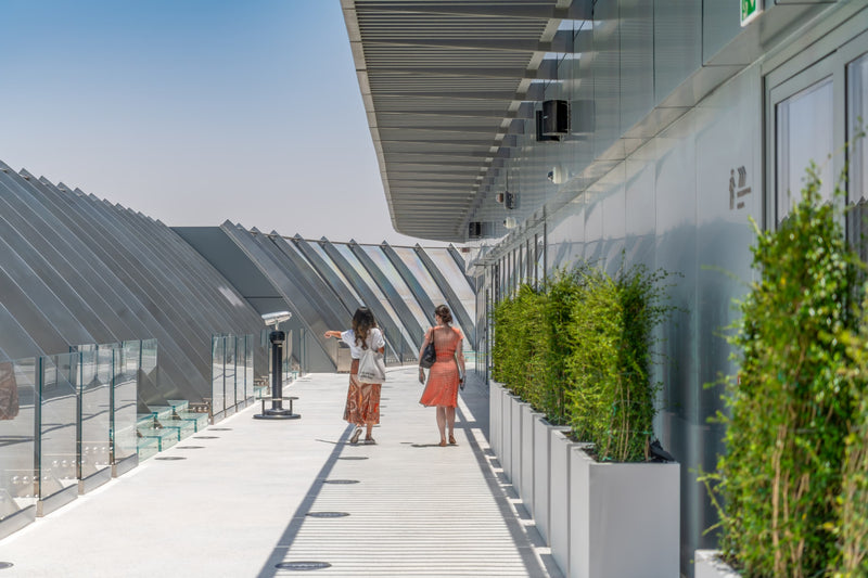 Private vs Group Tours: Which Is Right for You?