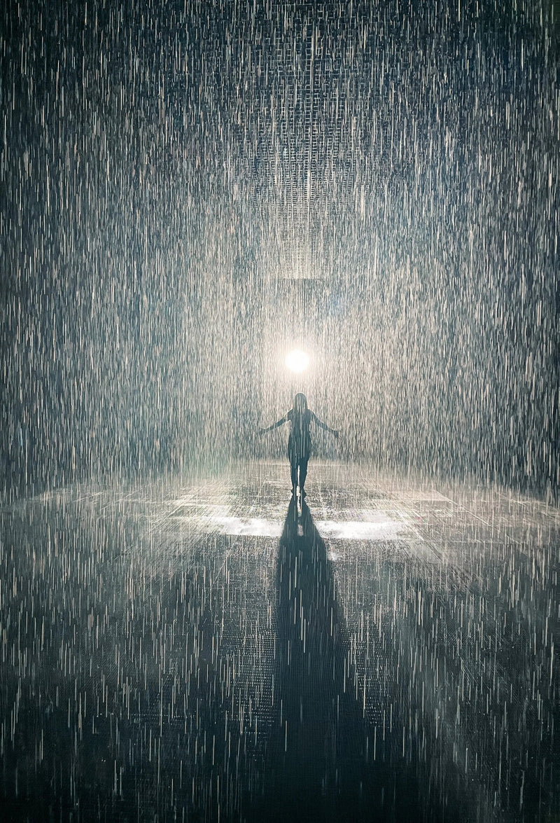 Best Things to Do in Sharjah