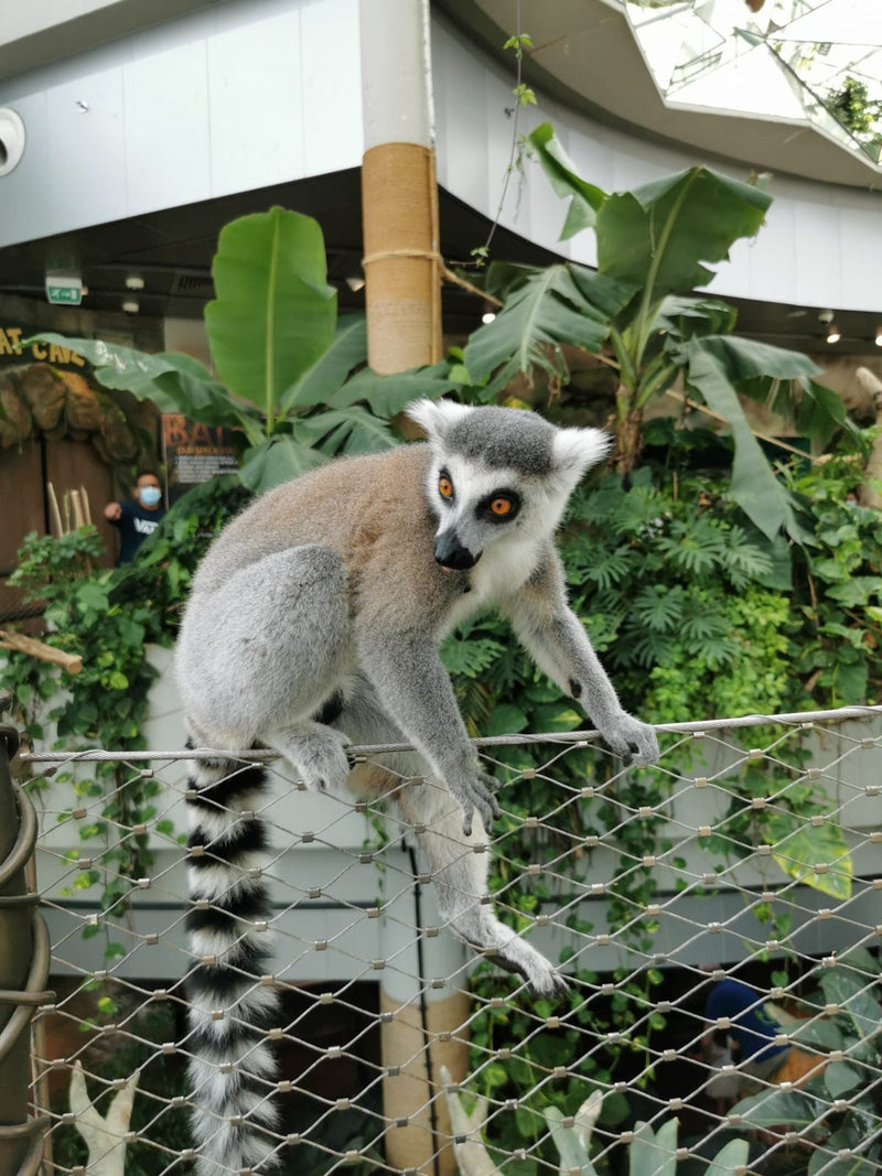 Things to Do in the UAE This Eid Al Adha 2026